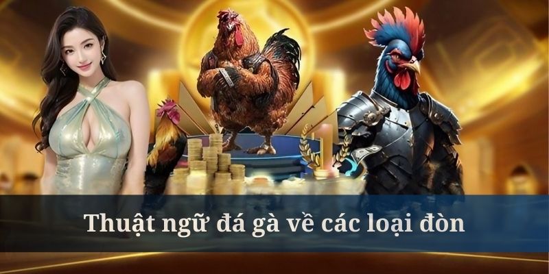 Thuật ngữ đá gà về các loại đòn là thông tin rất cần thiết